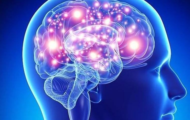 cerebro-RkGb0VTyxd6PNsTKx2NVX9M-758x531@abc