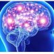 cerebro-RkGb0VTyxd6PNsTKx2NVX9M-758x531@abc